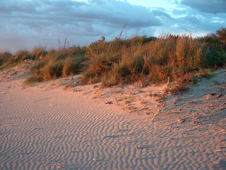 Il mare che non ti aspetti